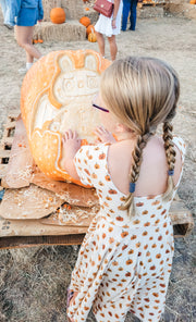 Organic Cotton Jack-O-Lantern Twirl Dress