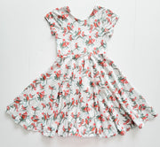 Organic Cotton Cozy Winter Robins Twirl Dress