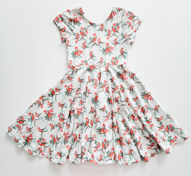 Organic Cotton Cozy Winter Robins Twirl Dress