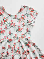 Organic Cotton Cozy Winter Robins Twirl Dress