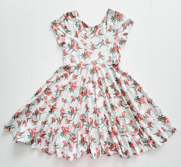 Organic Cotton Cozy Winter Robins Twirl Dress
