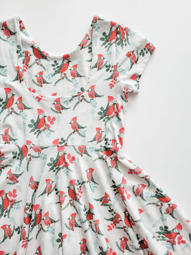 Organic Cotton Cozy Winter Robins Twirl Dress